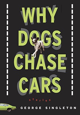 Why Dogs Chase Cars