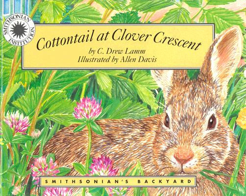 Cottontail at Clover Crescent