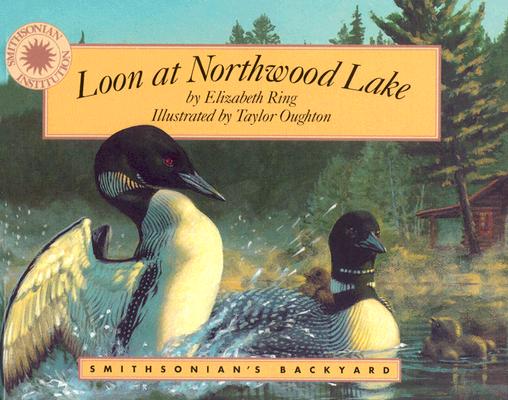 Loon at Northwood Lake