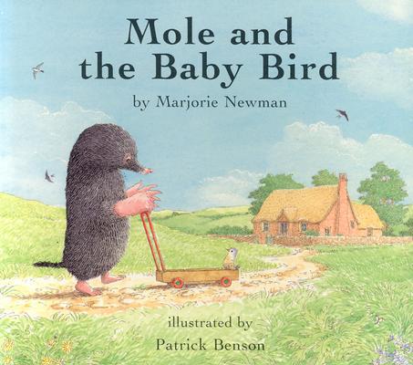 Mole and the Baby Bird