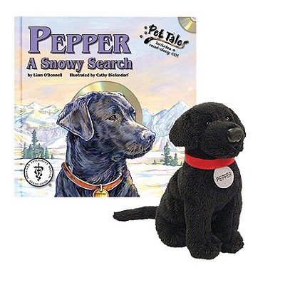 Pepper: A Snowy Search