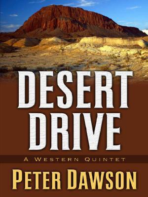 Desert Drive