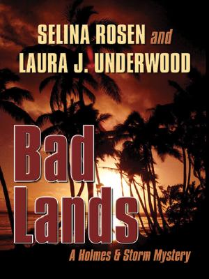 Bad Lands