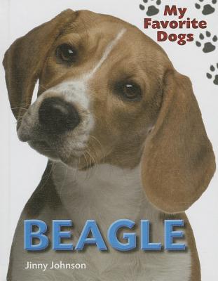 Beagle