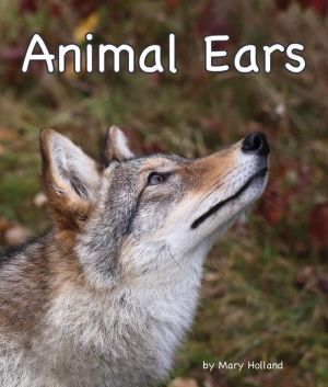 Animal Ears