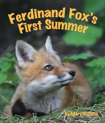 Ferdinand Fox's First Summer