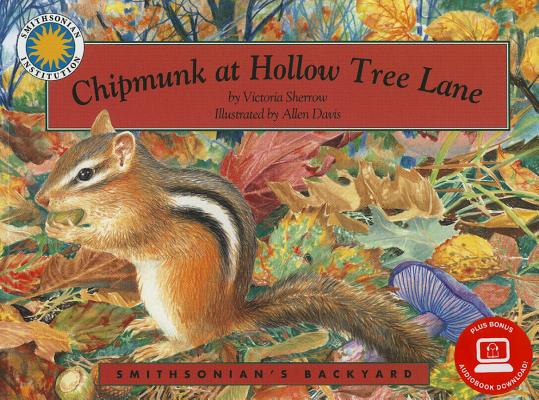 Chipmunk at Hollow Tree Lane