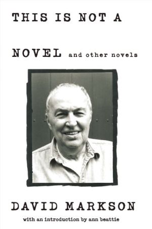 This is Not a Novel and Other Novels