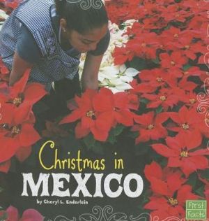 Christmas in Mexico