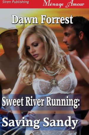 Sweet River Running: Saving Sandy