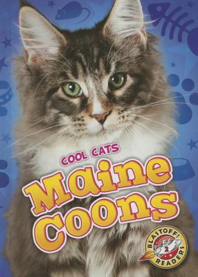 Maine Coons