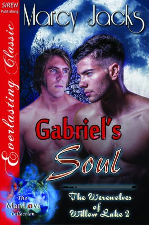 Gabriel's Soul