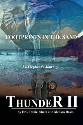 Footprints in the Sand