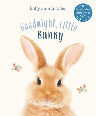 Goodnight, Little Bunny