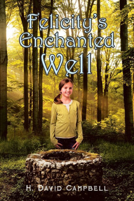 Felicity's Enchanted Well H