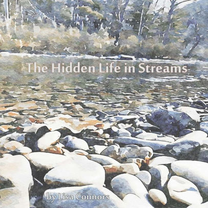 The Hidden Life in Streams