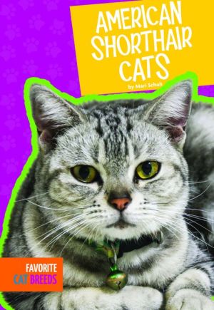 American Shorthair Cats