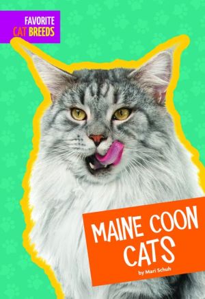 Maine Coon Cats