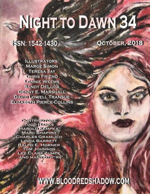 Night to Dawn 34