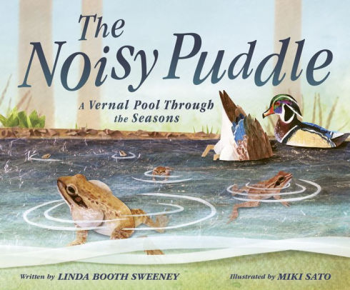 The Noisy Puddle