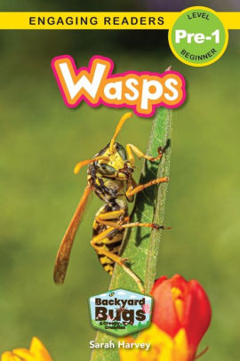 Wasps: Backyard Bugs and Creepy-Crawlies