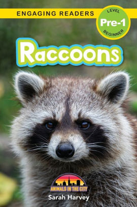 Raccoons: Animals in the City