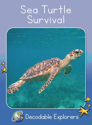 Sea Turtle Protection