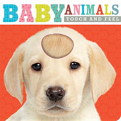 Touch and Feel Baby Animals