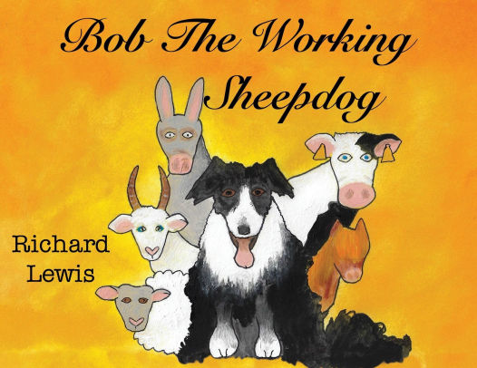 BOB the Working sheep dog!