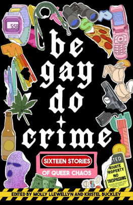 Be Gay, Do Crime