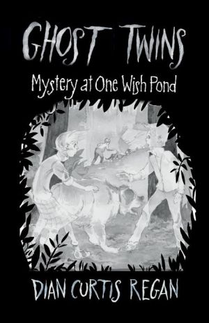 The Mystery of One Wish Pond