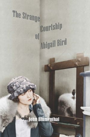 The Strange Courtship of Abigail Bird