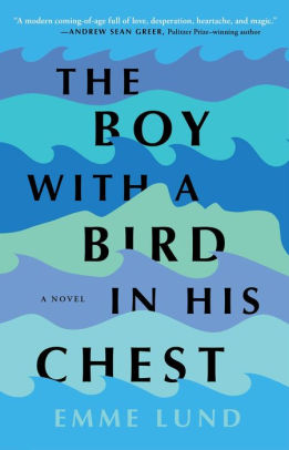 The Boy with a Bird in His Chest