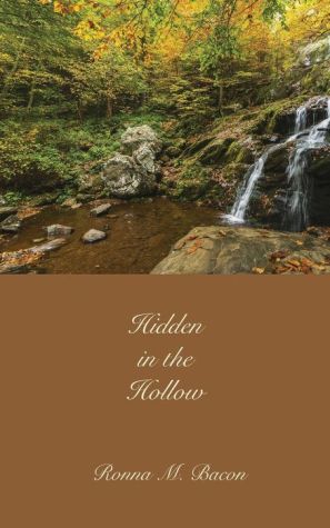 Hidden in the Hollow