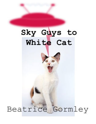 Sky Guys to White Cat