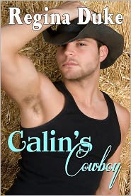 Calin's Cowboy