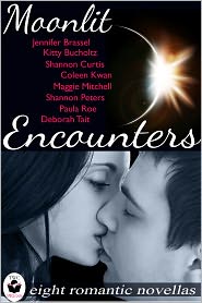 Moonlit Encounters