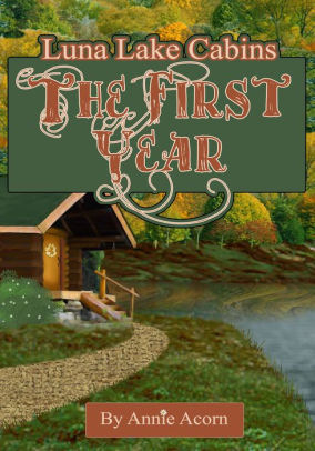 Luna Lake Cabins The First Year