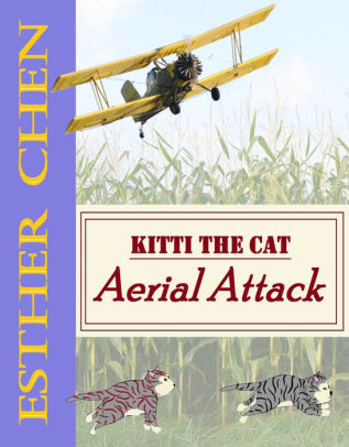 Aerial Attack