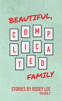 Beautiful, Complicated Family: Volume 2