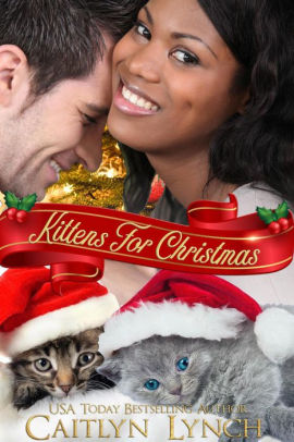 Kittens For Christmas