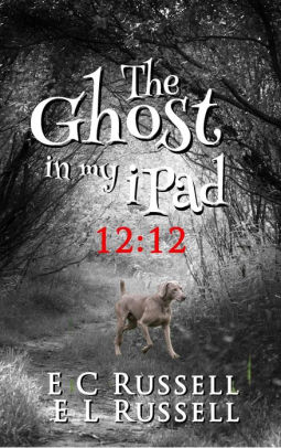 The Ghost in my iPad - 12-12