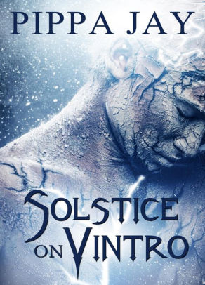 Solstice on Vintro