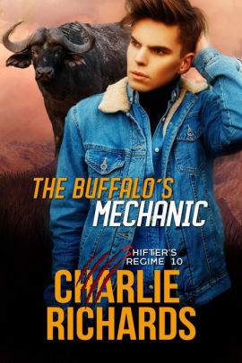 The Buffalo's Mechanic