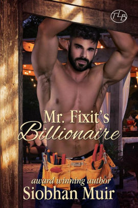 Mr. Fixit's Billionaire