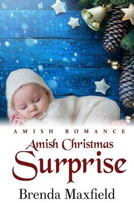 Amish Christmas Surprise