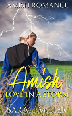 Amish Love in a Storm