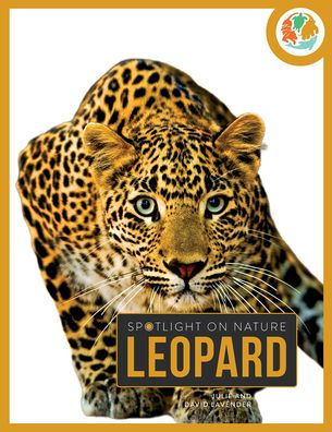 Leopard