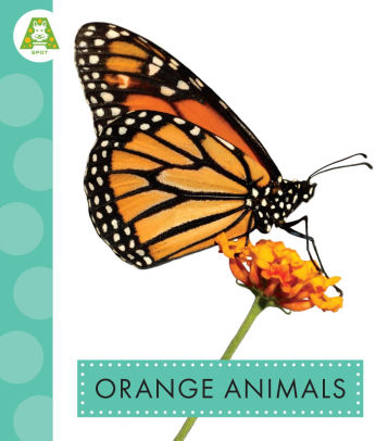 Orange Animals