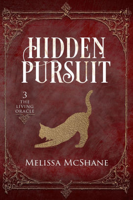 Hidden Pursuit